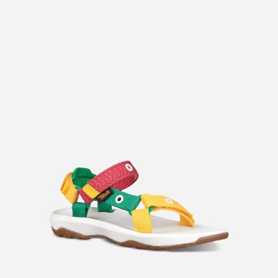 Dětské Turistické Sandály Teva Hurricane Xlt 2 - Hungry Caterpillar Zelene - CZ042585